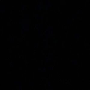 Meet your Posher, Lameese